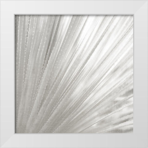 Silver Wash White Modern Wood Framed Art Print by Allen, Kimberly