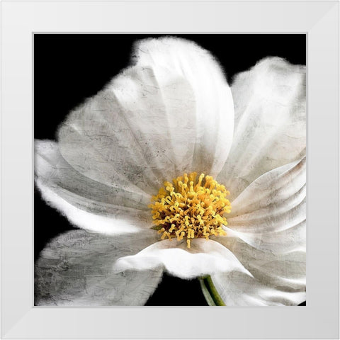 Yellow Center White Modern Wood Framed Art Print by Allen, Kimberly