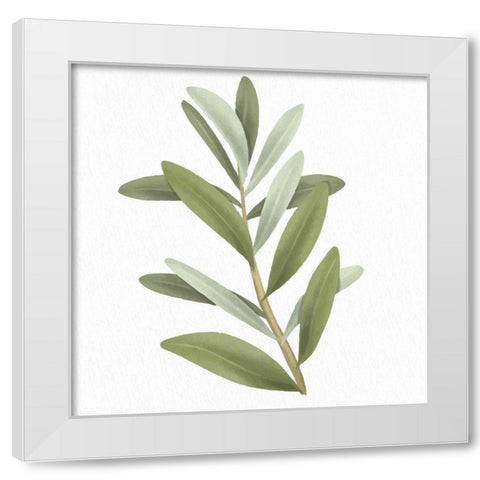 Olive Branch 1 White Modern Wood Framed Art Print by Allen, Kimberly