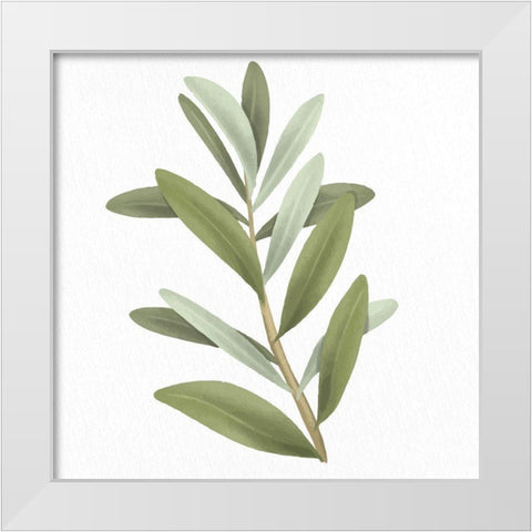 Olive Branch 1 White Modern Wood Framed Art Print by Allen, Kimberly