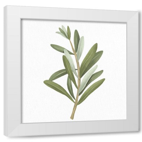 Olive Branch 2 White Modern Wood Framed Art Print by Allen, Kimberly