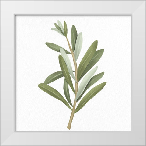Olive Branch 2 White Modern Wood Framed Art Print by Allen, Kimberly