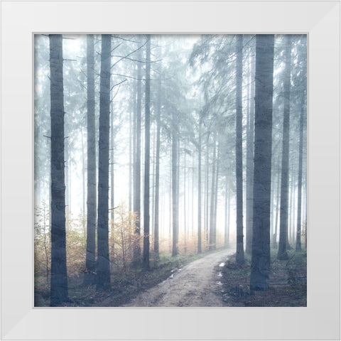 Forest Road White Modern Wood Framed Art Print by Allen, Kimberly