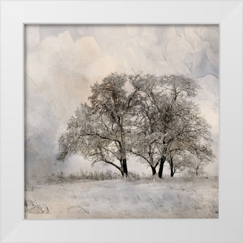 Winter Frost 2 White Modern Wood Framed Art Print by Allen, Kimberly
