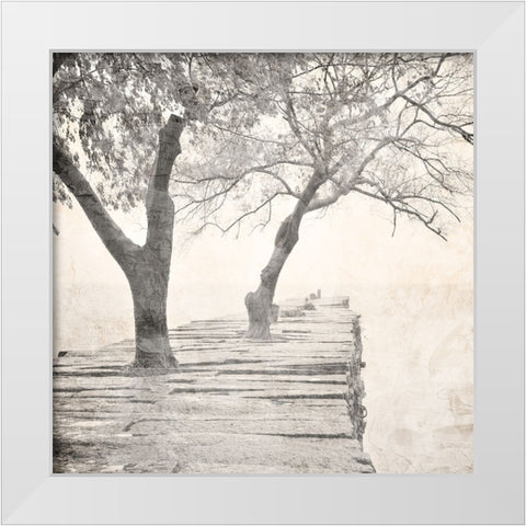 Tree Pier White Modern Wood Framed Art Print by Allen, Kimberly