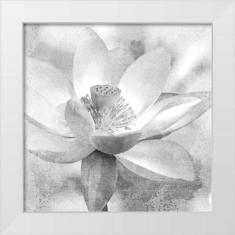 Lotus White Modern Wood Framed Art Print by Allen, Kimberly