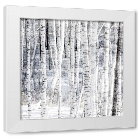 Aspen Snow 2 White Modern Wood Framed Art Print by Allen, Kimberly