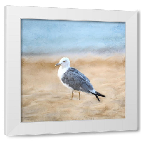 Seagull White Modern Wood Framed Art Print by Allen, Kimberly