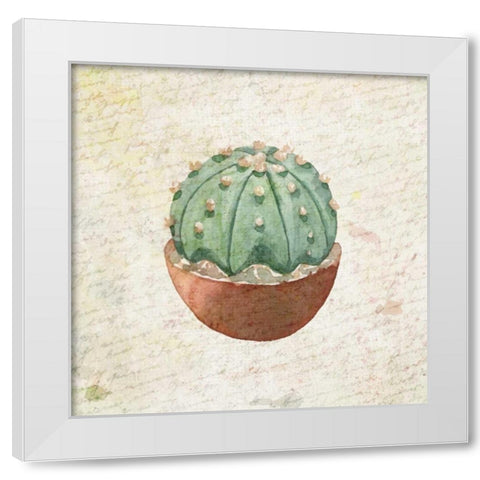 Desert Life 1 White Modern Wood Framed Art Print by Allen, Kimberly
