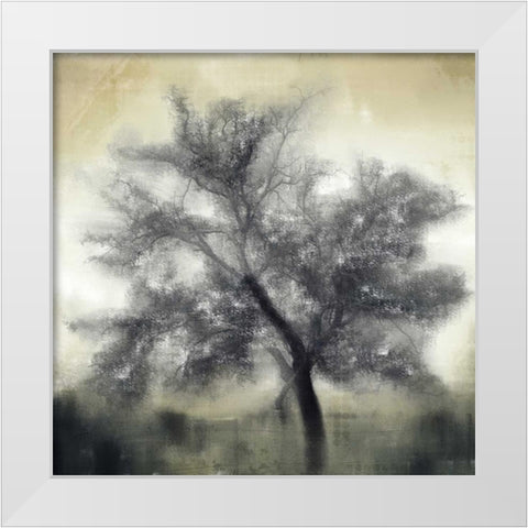 Evening Shadows White Modern Wood Framed Art Print by Allen, Kimberly