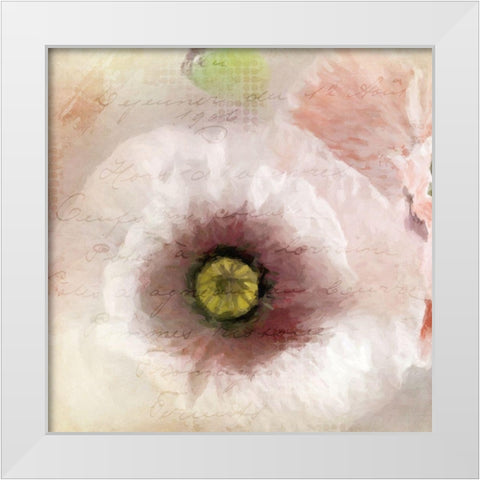 Poppy 1 White Modern Wood Framed Art Print by Allen, Kimberly