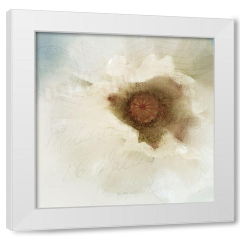Postcard Poppy White Modern Wood Framed Art Print by Allen, Kimberly