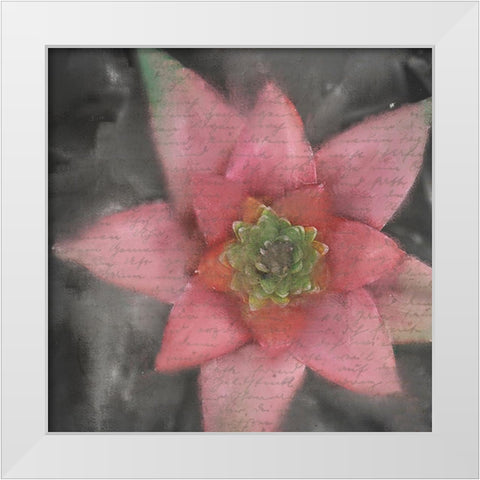 Star Bloom White Modern Wood Framed Art Print by Kimberly, Allen