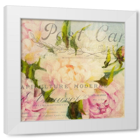 Summer Blooming C White Modern Wood Framed Art Print by Kimberly, Allen