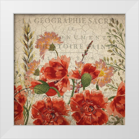 Springtime Blooms White Modern Wood Framed Art Print by Kimberly, Allen