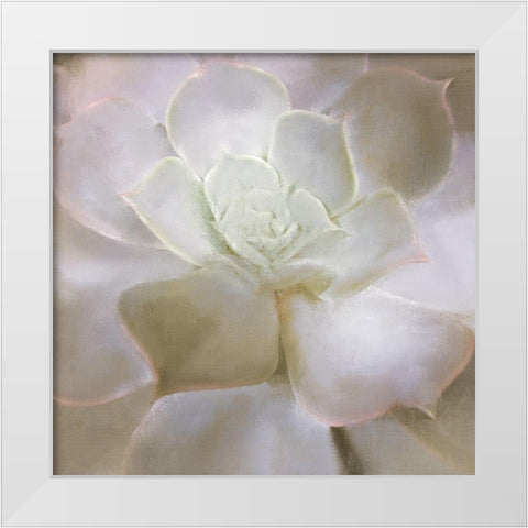 Succulent 2 White Modern Wood Framed Art Print by Allen, Kimberly