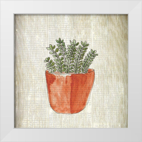 Spring Cactus 2 White Modern Wood Framed Art Print by Kimberly, Allen