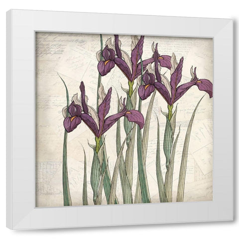 Shades of Purple 3 White Modern Wood Framed Art Print by Kimberly, Allen