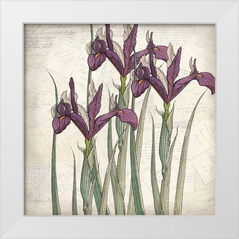 Shades of Purple 3 White Modern Wood Framed Art Print by Kimberly, Allen