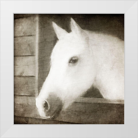 Glory White Modern Wood Framed Art Print by Allen, Kimberly