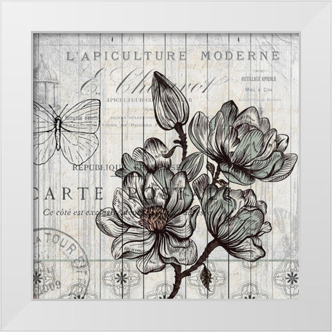 Country Magnolia 1 White Modern Wood Framed Art Print by Kimberly, Allen