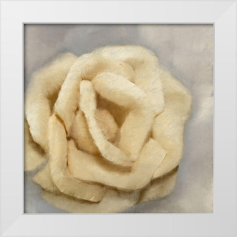 Rosa 1 White Modern Wood Framed Art Print by Kimberly, Allen