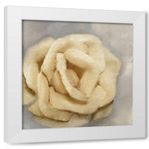 Rosa 1 White Modern Wood Framed Art Print by Kimberly, Allen