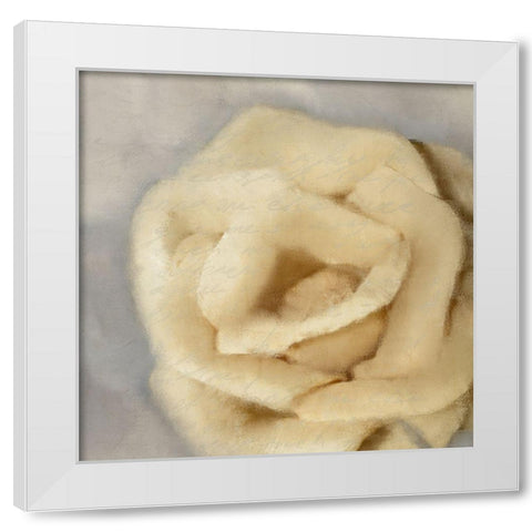 Rosa 2 White Modern Wood Framed Art Print by Kimberly, Allen