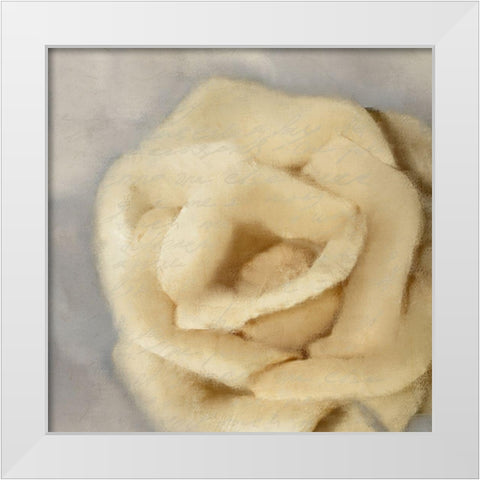 Rosa 2 White Modern Wood Framed Art Print by Kimberly, Allen