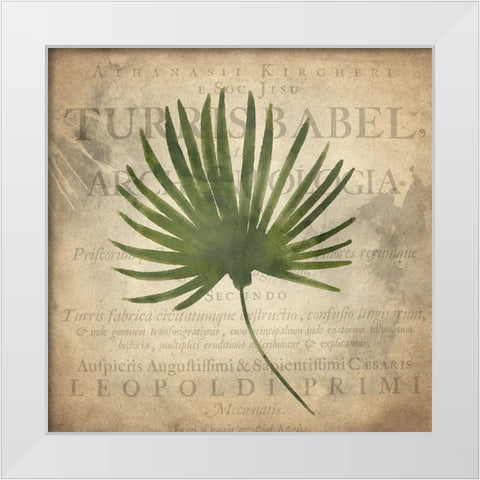 Palms A White Modern Wood Framed Art Print by Kimberly, Allen