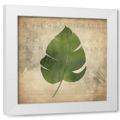 Palms B White Modern Wood Framed Art Print by Kimberly, Allen