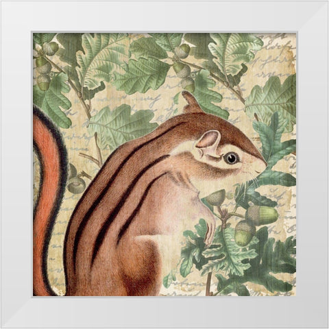 Chipmunk Square 1 White Modern Wood Framed Art Print by Kimberly, Allen
