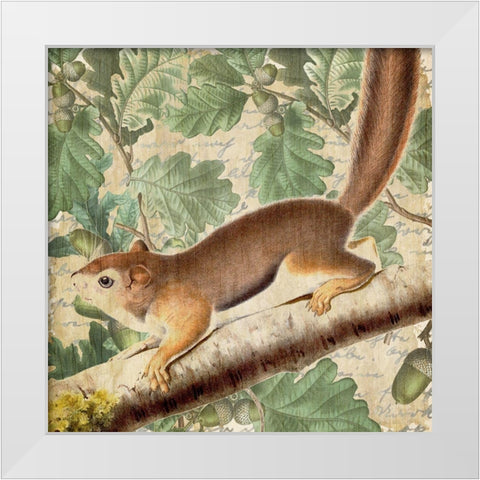 Chipmunk Square 2 White Modern Wood Framed Art Print by Kimberly, Allen