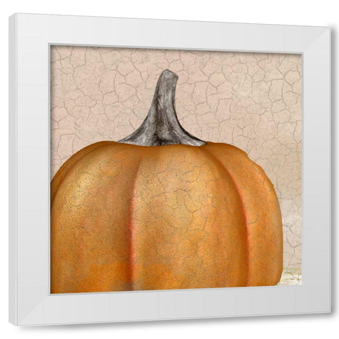 Copper Pumpkin White Modern Wood Framed Art Print by Kimberly, Allen