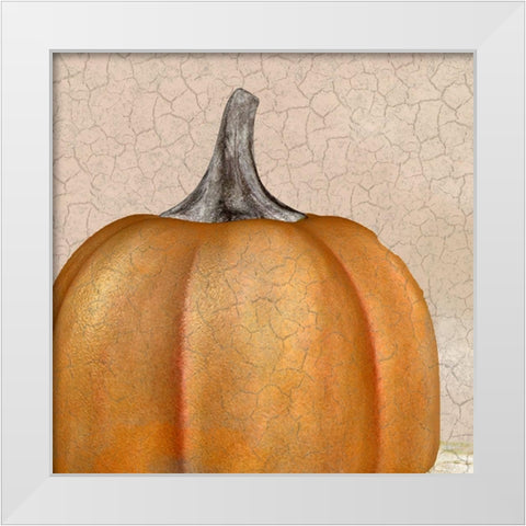 Copper Pumpkin White Modern Wood Framed Art Print by Kimberly, Allen