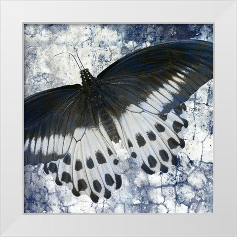 Butterfly Blues 1 White Modern Wood Framed Art Print by Allen, Kimberly