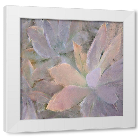 Succulents 2 White Modern Wood Framed Art Print by Kimberly, Allen