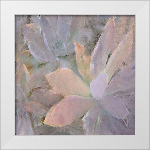 Succulents 2 White Modern Wood Framed Art Print by Kimberly, Allen