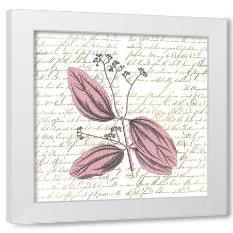 English Blush 1 White Modern Wood Framed Art Print by Kimberly, Allen