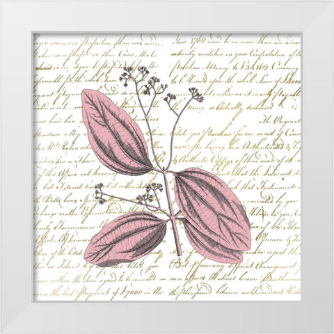 English Blush 1 White Modern Wood Framed Art Print by Kimberly, Allen