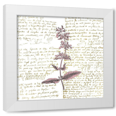 English Blush 2 White Modern Wood Framed Art Print by Kimberly, Allen