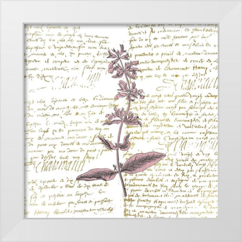 English Blush 2 White Modern Wood Framed Art Print by Kimberly, Allen