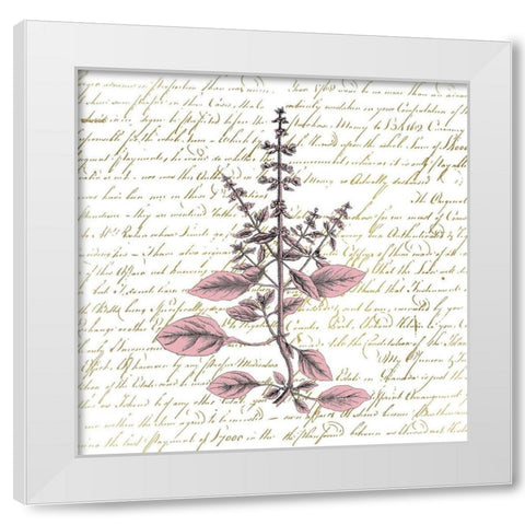 English Blush 3 White Modern Wood Framed Art Print by Kimberly, Allen