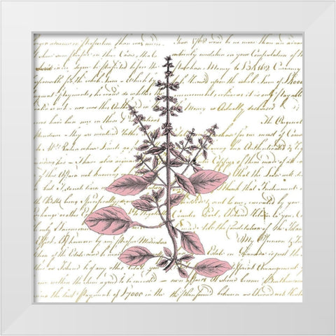 English Blush 3 White Modern Wood Framed Art Print by Kimberly, Allen