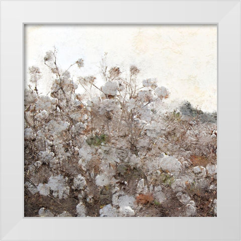 Cotton Field 1 White Modern Wood Framed Art Print by Kimberly, Allen