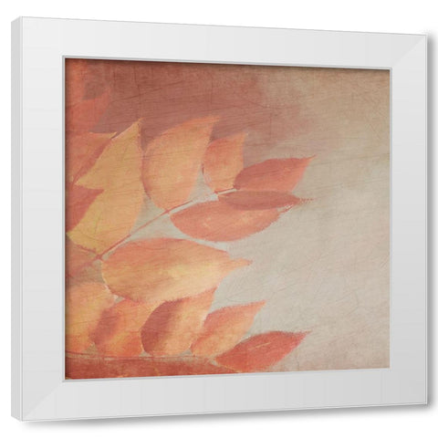 Fall Colors 1 White Modern Wood Framed Art Print by Kimberly, Allen