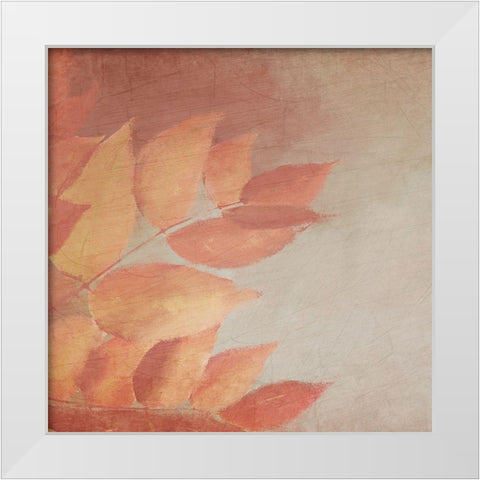 Fall Colors 1 White Modern Wood Framed Art Print by Kimberly, Allen