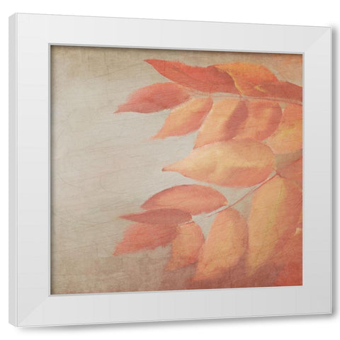 Fall Colors 2 White Modern Wood Framed Art Print by Kimberly, Allen