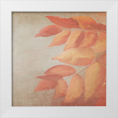 Fall Colors 2 White Modern Wood Framed Art Print by Kimberly, Allen