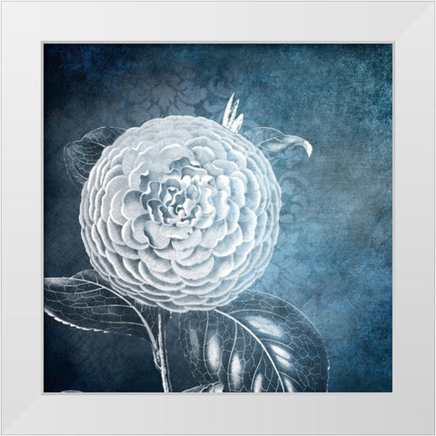 White Bloom 1 White Modern Wood Framed Art Print by Kimberly, Allen